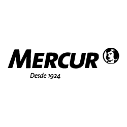 Logo Mercur